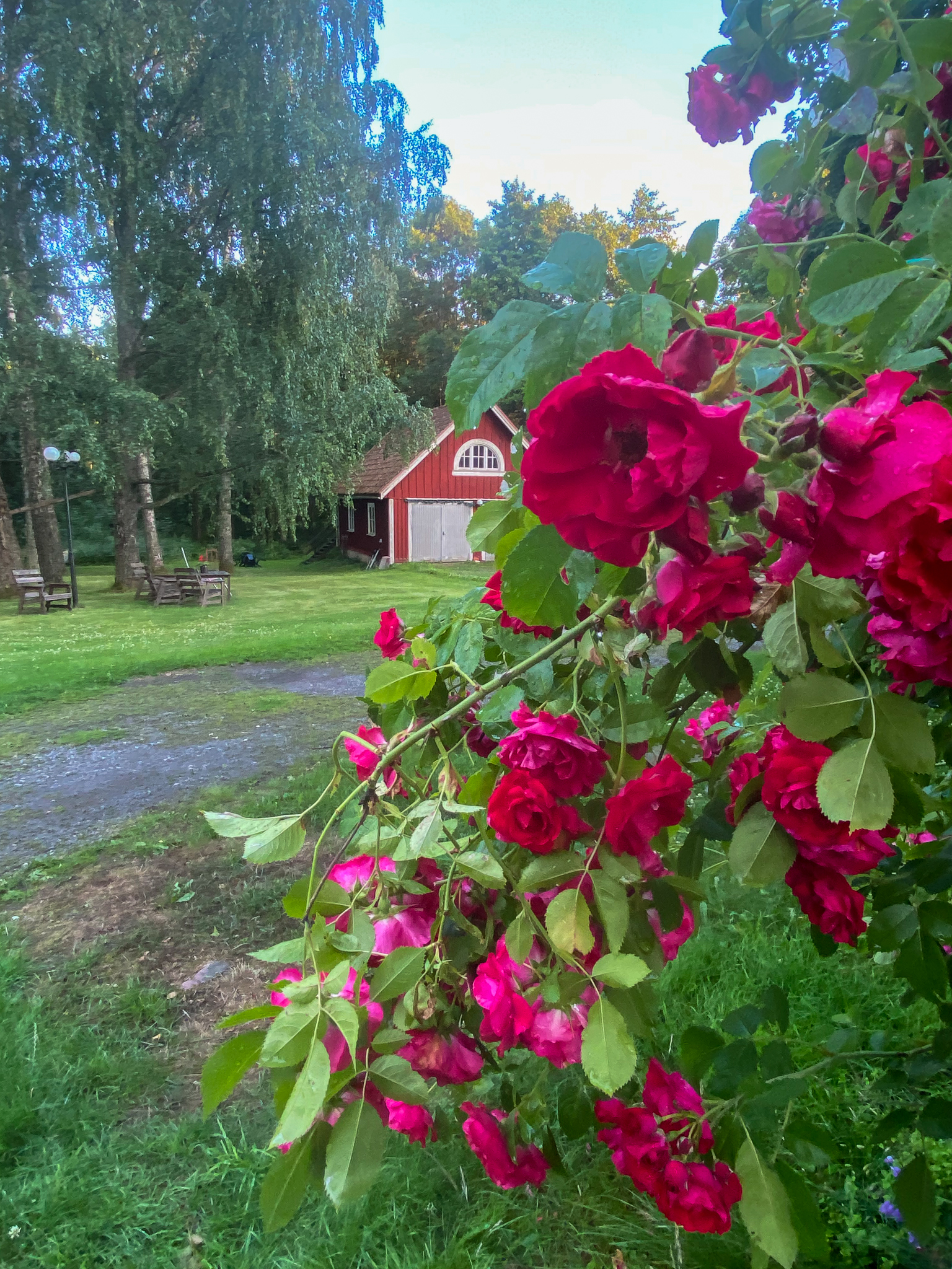buda-gård-boenden-loftet-01